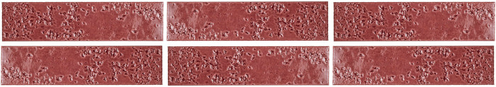 Sigma Coral